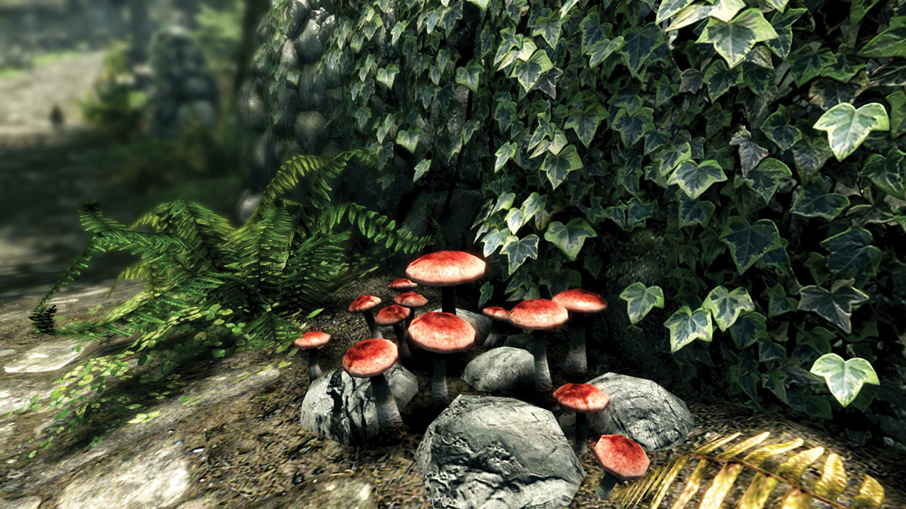 Screenshot number 2