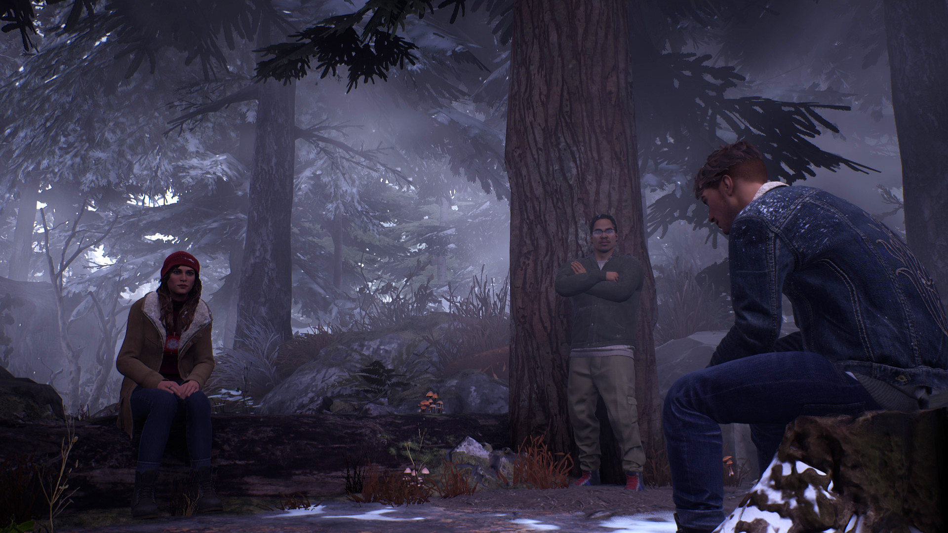 Screenshot number 5